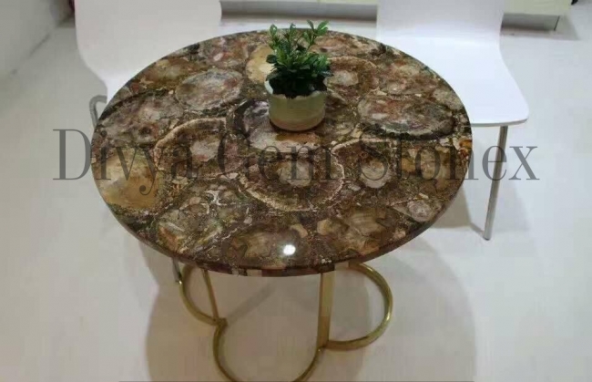 Petrified Wood Table